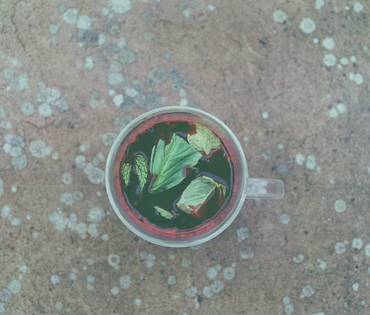 Preserved Elderberry Tea