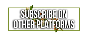 Subscribe on other platforms 2