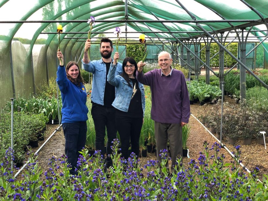 5-reasons-buy-bare-root