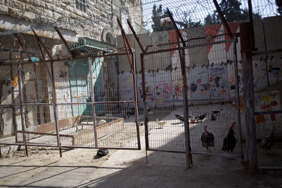 lallage-snow-war-gardens-4