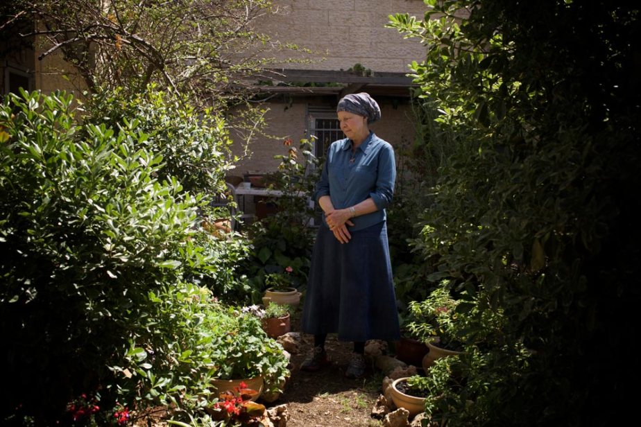 lallage-snow-war-gardens-5