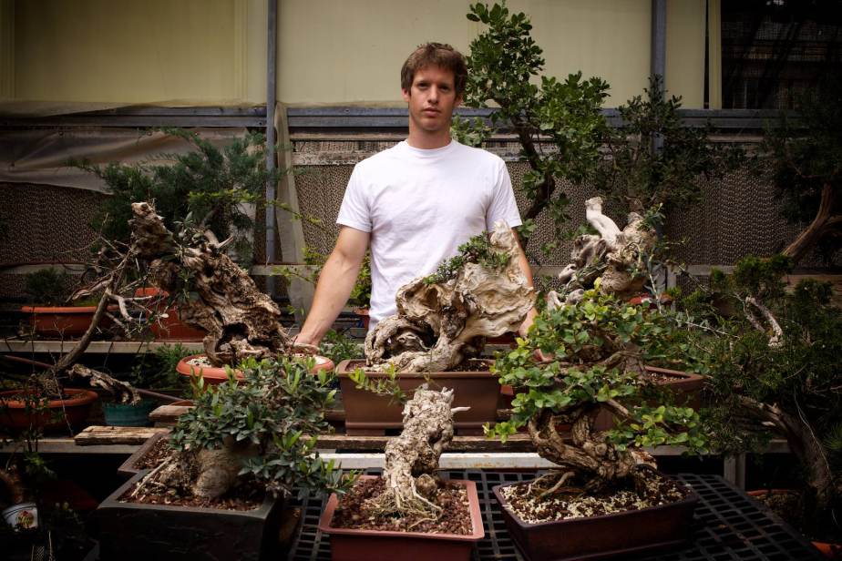 lallage-snow-war-gardens-8