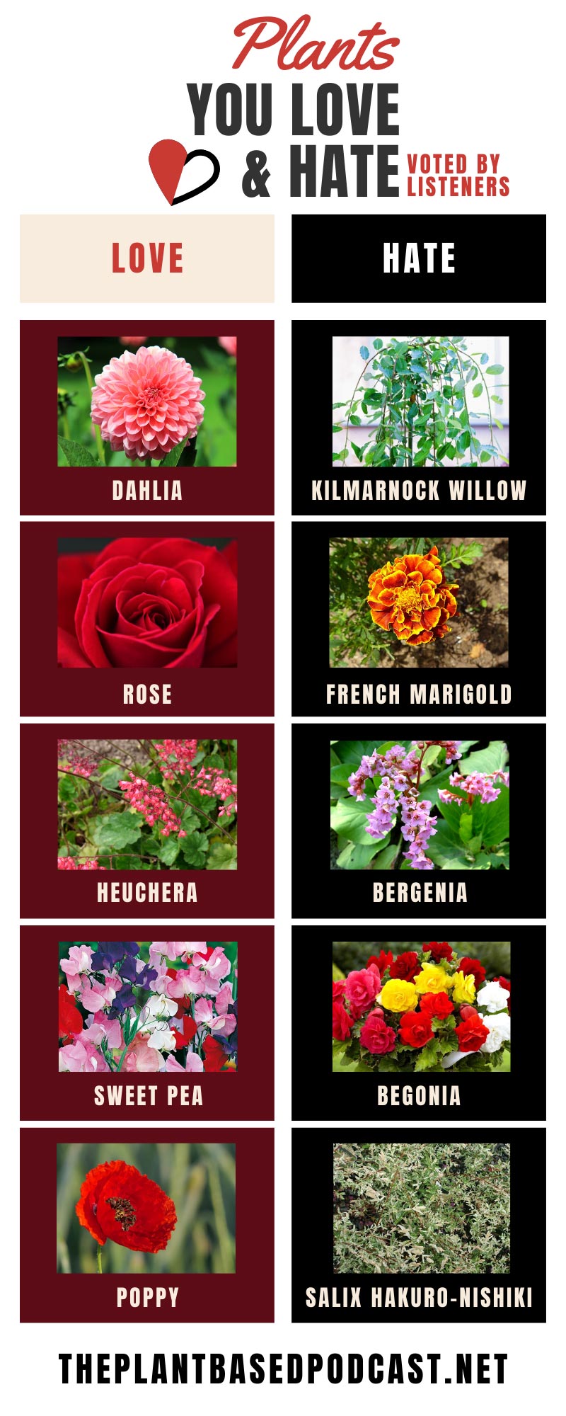 plants-you-love-and-hate-leaderboard